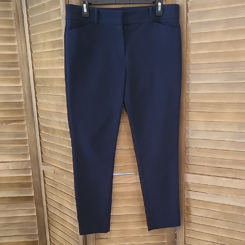 Loft Petites Navy Women's Pants 10P